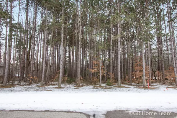 Cedar Springs, MI 49319,10810 Crawford Lake Trail