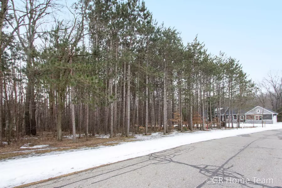 10810 Crawford Lake Trail, Cedar Springs, MI 49319