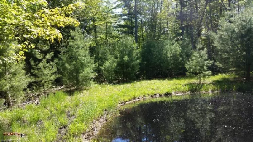 12th Street, Pentwater, MI 49449