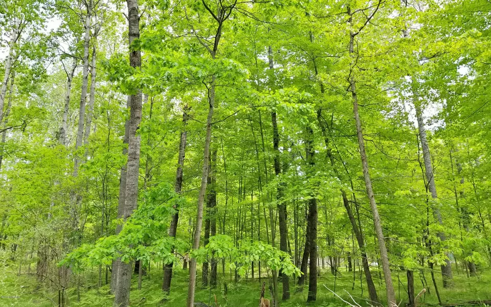 8198 Tanglewood Trail, Stanwood, MI 49346