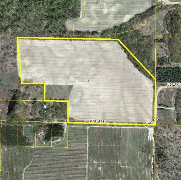 45 Acres Mud Lake Road, Bear Lake, MI 49614