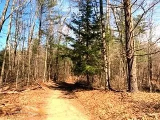 Morley, MI 49336,A,B,C Jefferson Road