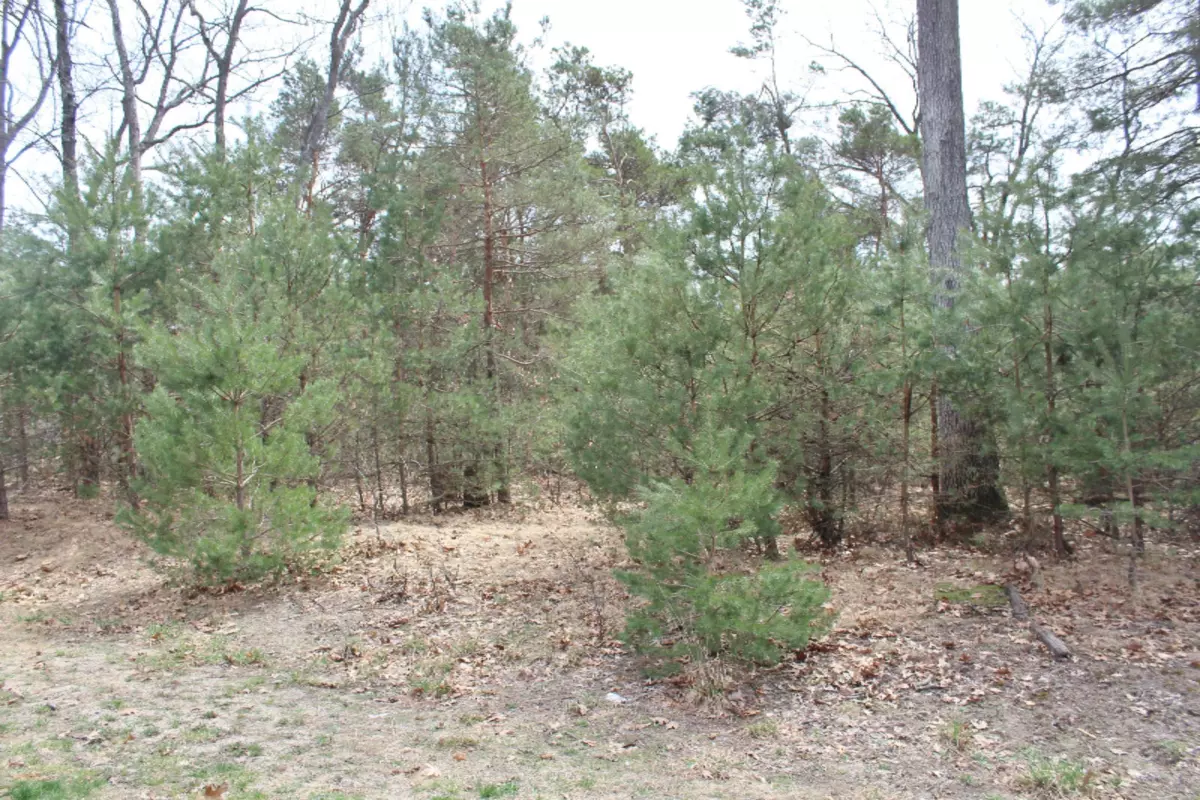Whitehall, MI 49461,VL Tenderfoot Court #Lot 40