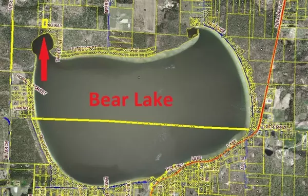 Bear Lake, MI 49614,Parcel F Big Bay