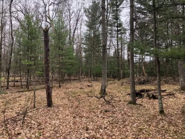 Kings Highway, Chase, MI 49623