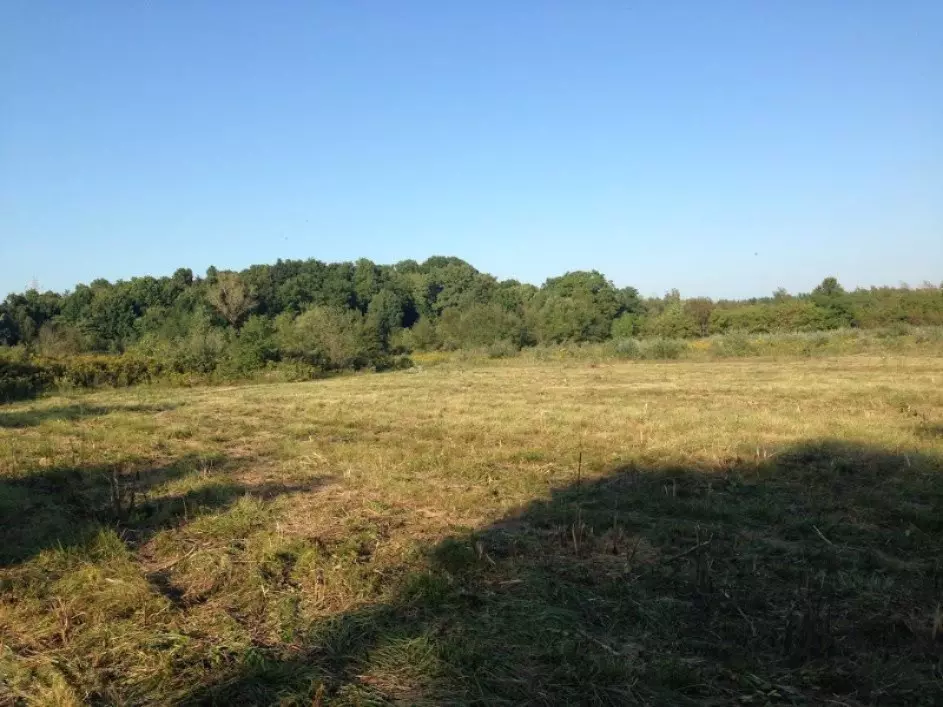 Benton Harbor, MI 49022,2157 Highland Avenue