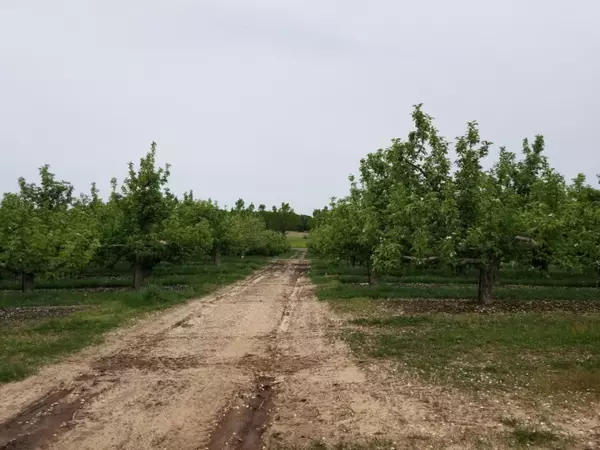 Mears, MI 49436,25 A m/l Polk Road