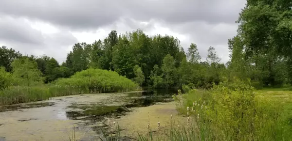 Bloomingdale, MI 49026,09489 3850th Street