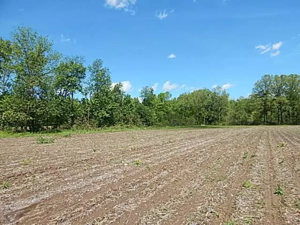 Litchfield, MI 49252,990 Clarendon Road