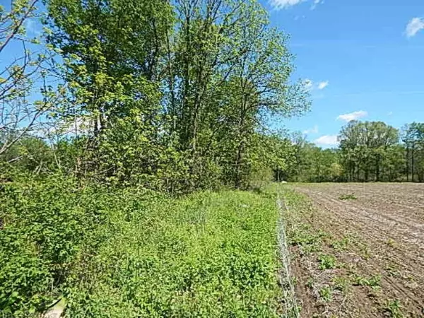 Litchfield, MI 49252,990 Clarendon Road