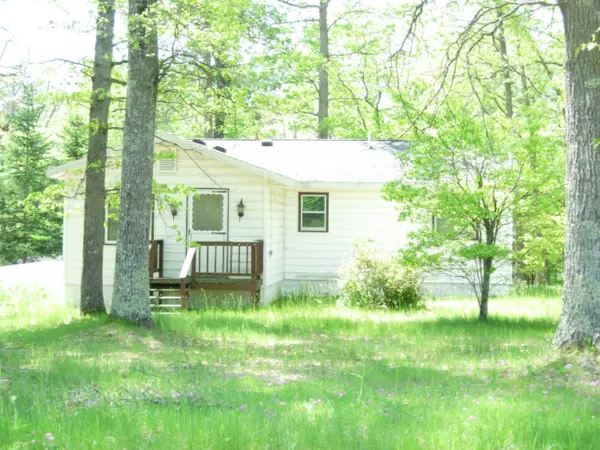 6303 W 11 1/2 Mile Road, Irons, MI 49644