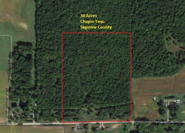 W Cupp Road, Elsie, MI 48831