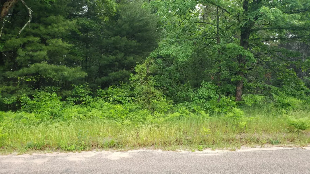 Circle Drive, Baldwin, MI 49304