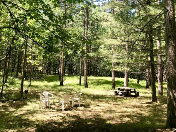 Canadian Lakes, MI 49346,12480 Lone Wolf Trail