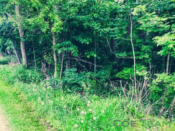 Ionia, MI 48846,Parcel A Lawton Street