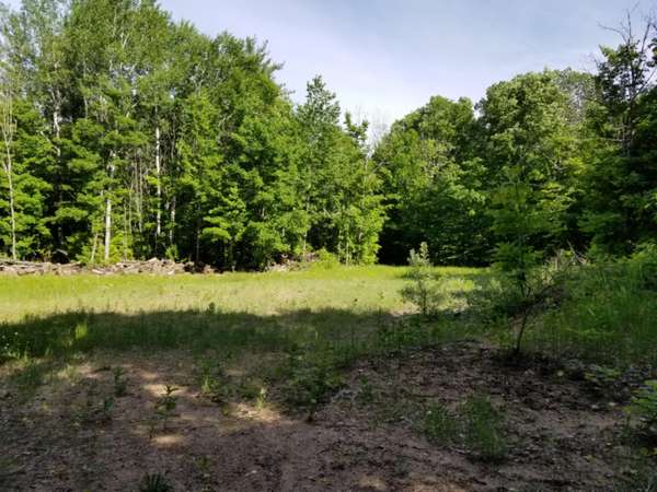 Vacant Springdale Road, Thompsonville, MI 49683