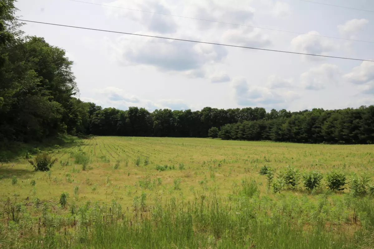 Schoolcraft, MI 49087,S 8th Street