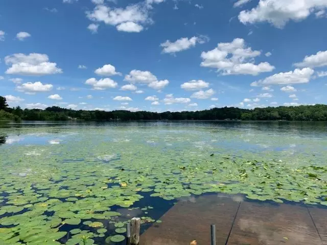 Hastings, MI 49058,00 Head Road