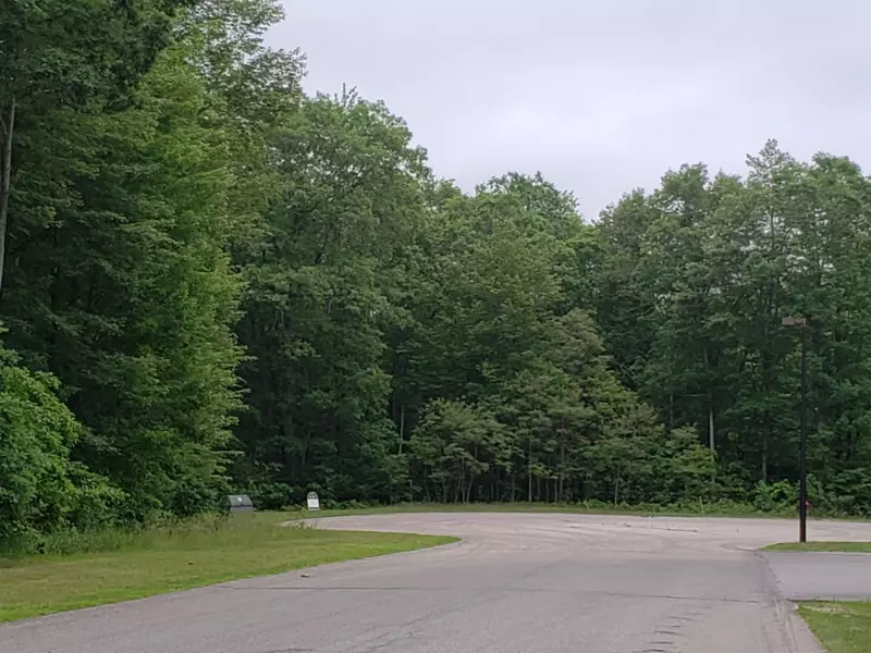 1533 Washington Street, White Cloud, MI 49349