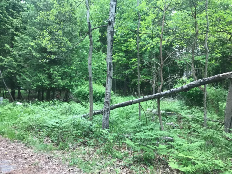 0 N Lakeshore Drive, Mears, MI 49436