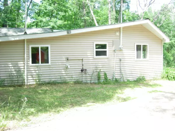 Wellston, MI 49689,3846 Maple Drive