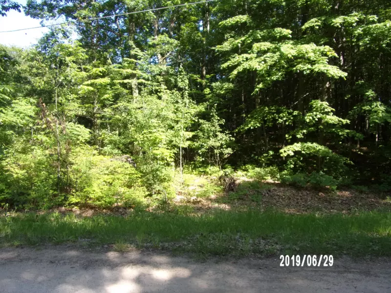 9503 W Wildridge Drive, Mears, MI 49436