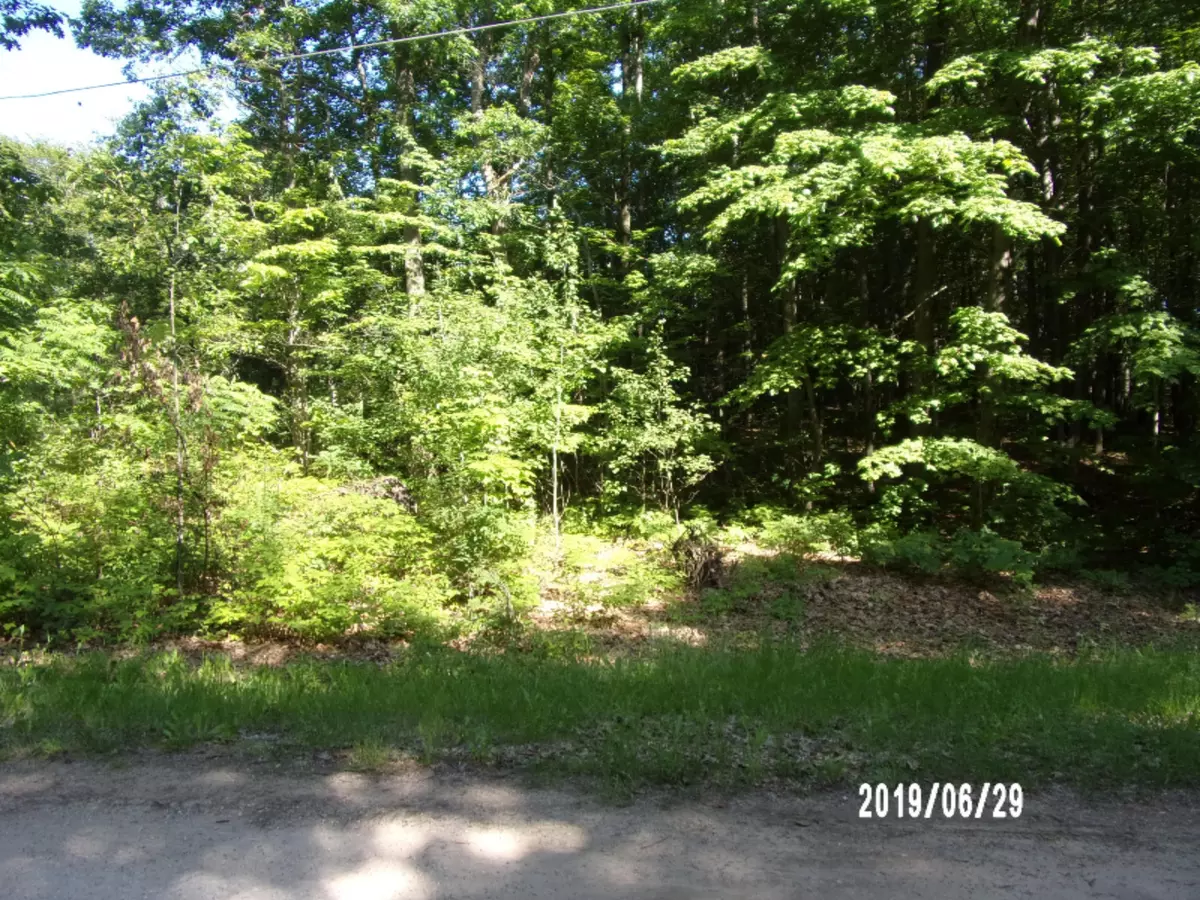 Mears, MI 49436,9503 W Wildridge Drive