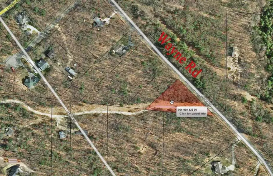 lots Wayne Road, Pentwater, MI 49449