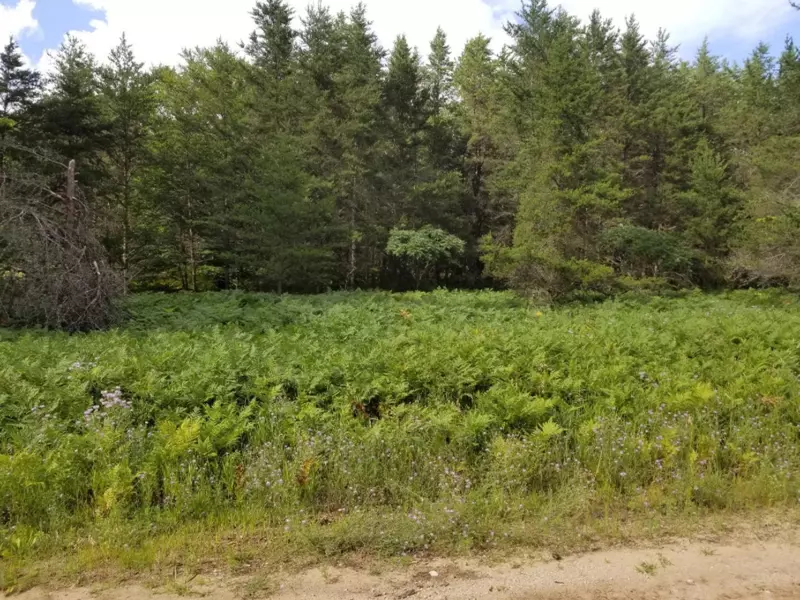 Lincoln Creek Road, Luther, MI 49656