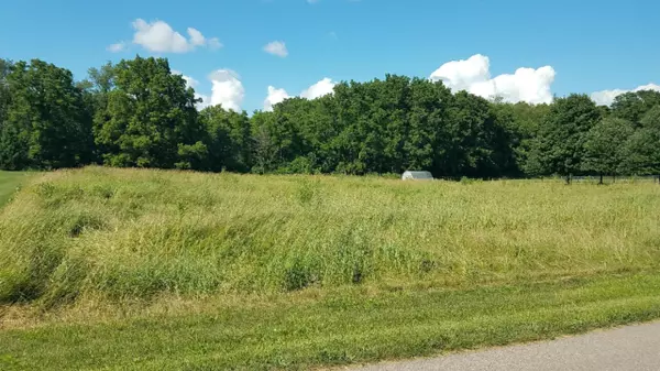 Ionia, MI 48846,V/L Meadowlark Drive