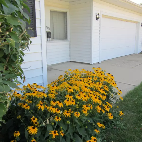 Wyoming, MI 49509,3161 Robin SW Avenue