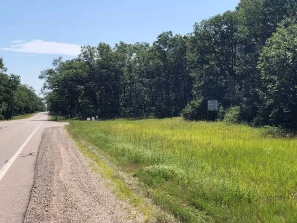 Wellston, MI 49689,M-55 #Vacant land