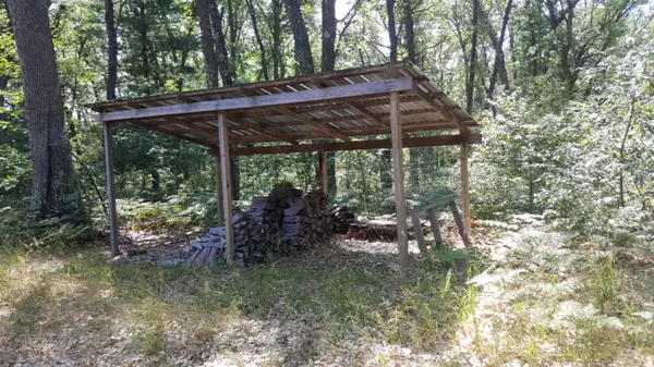 Irons, MI 49644,9678 N Irons Road