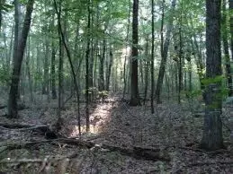 0 Linderman Road, Holton, MI 49425