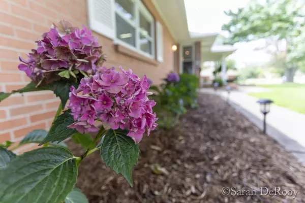 Hudsonville, MI 49426,4120 Port Sheldon Street