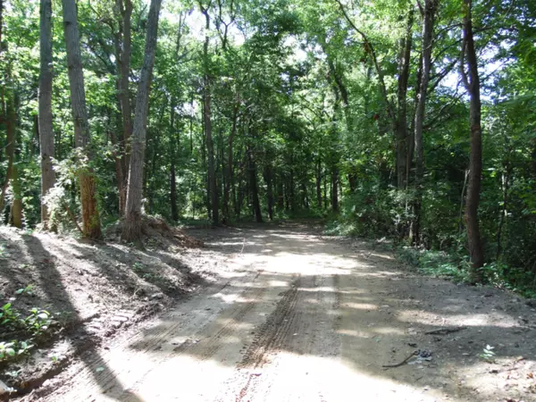 Plainwell, MI 49080,Lot A Graham Road