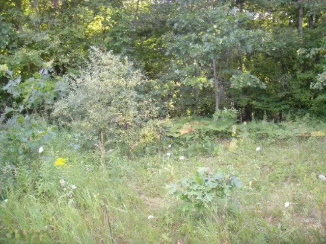 Newaygo, MI 49337,8469 Linden Avenue