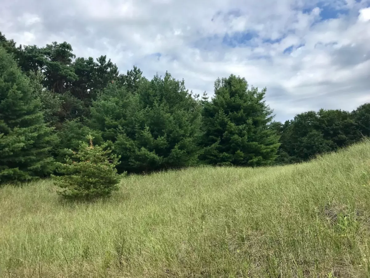 West Olive, MI 49460,Lot 72 Beachview Drive