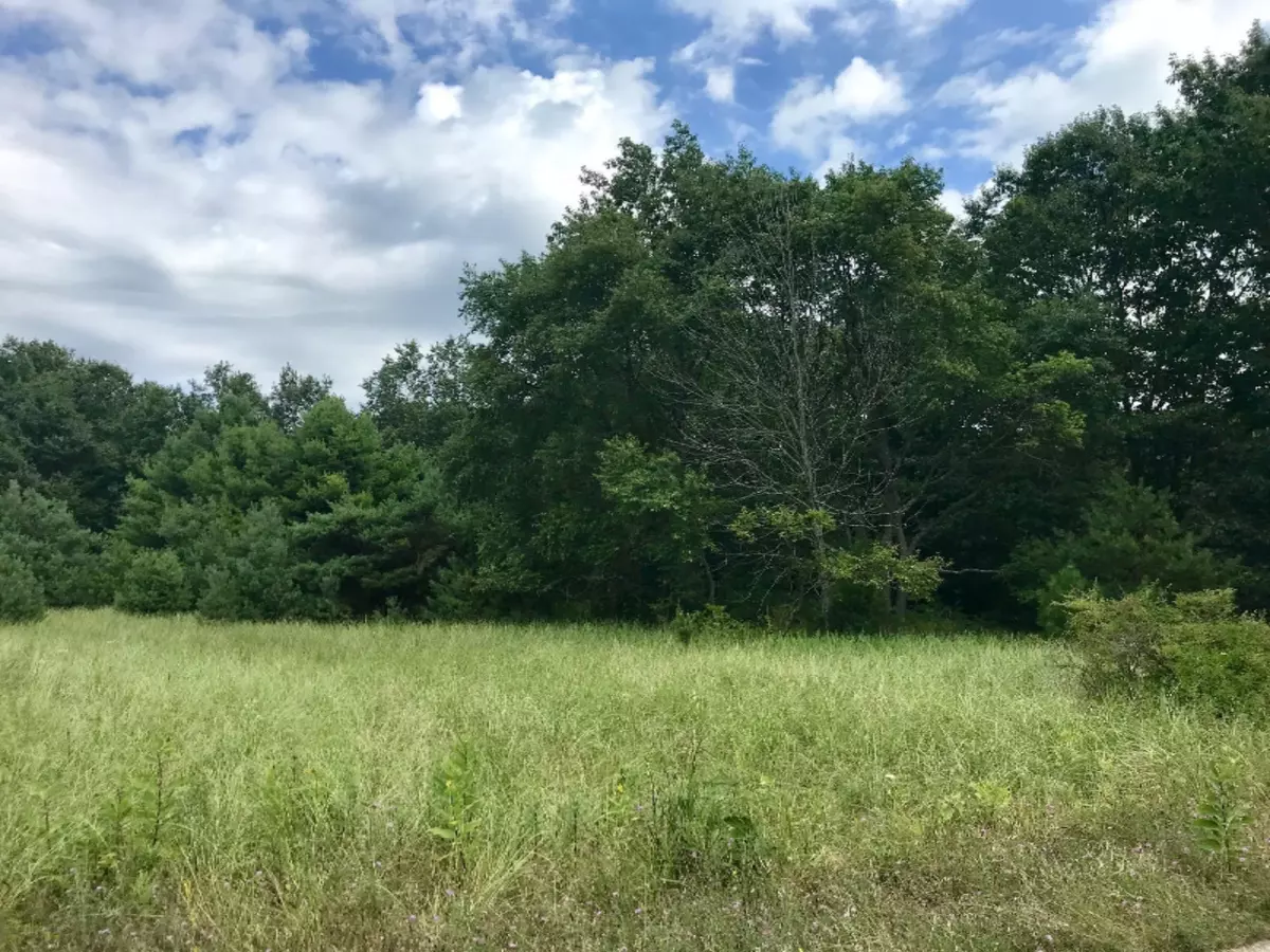 West Olive, MI 49460,Lot 73 Beachview Drive