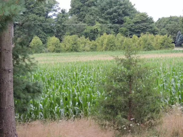 Fennville, MI 49408,6740 120th Avenue