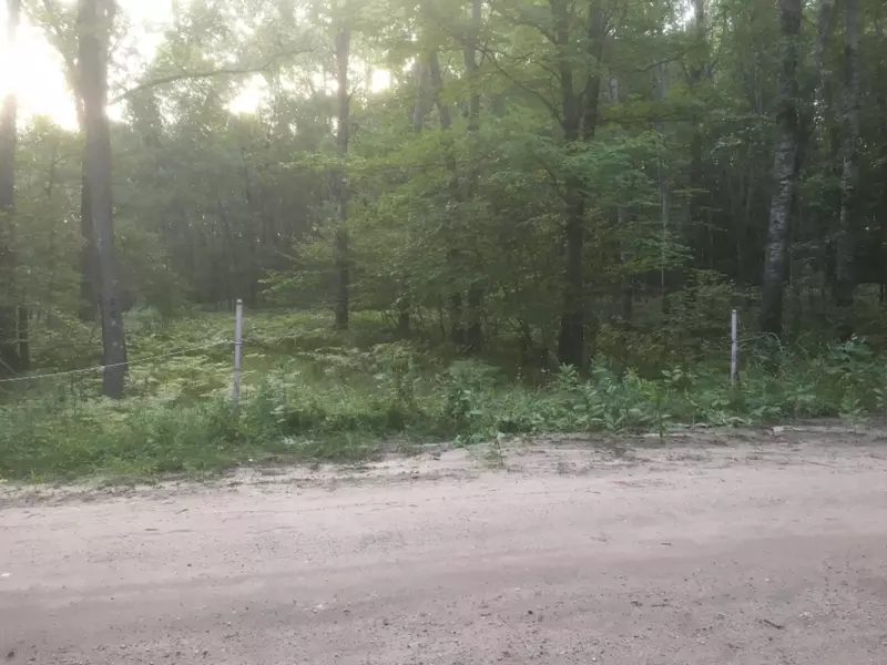 10437 S Bonney Road, Reed City, MI 49677