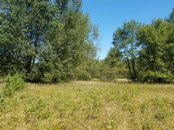 Lot 1 - Croswell Avenue, Newaygo, MI 49337