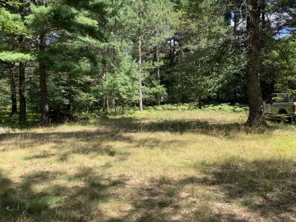 Chase, MI 49623,7532 E 32nd St