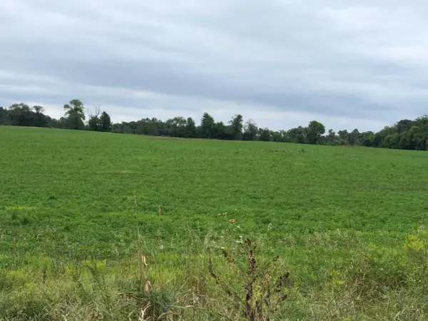 Parcel 5 9th Street, Wayland, MI 49348