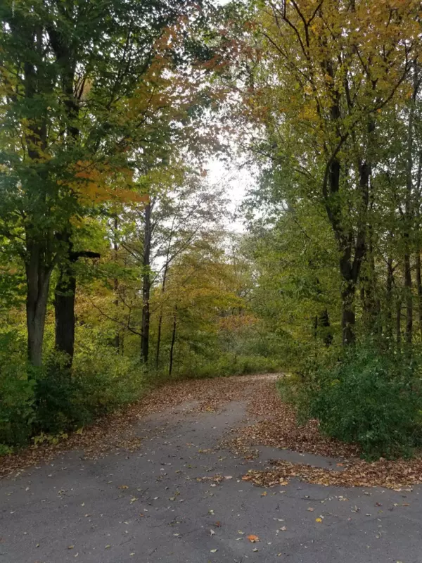 Big Rapids, MI 49307,18790 Serenity Drive