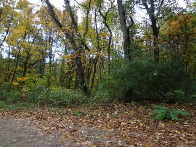 Tract  3 Walnut Street, Dowagiac, MI 49047