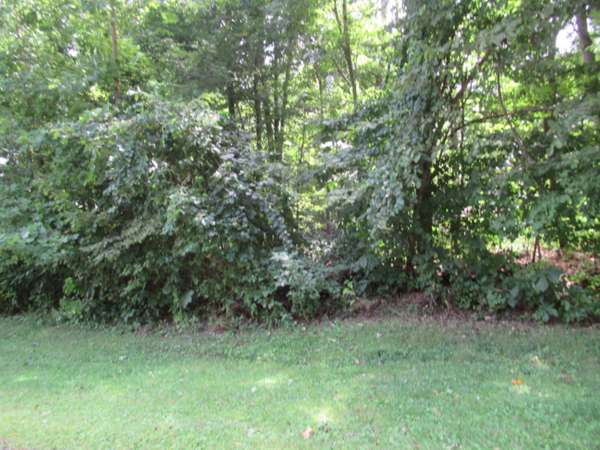 Tract #2 Deep Woods Drive, Cassopolis, MI 49031