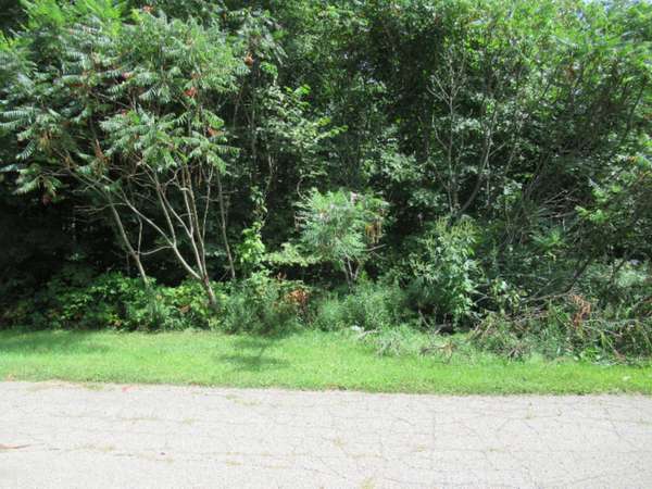 Tract 3 Deep Woods Drive, Cassopolis, MI 49031