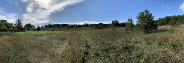 Saranac, MI 48881,Mac Arthur Road