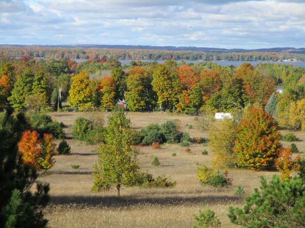 Bear Lake, MI 49614,Potter Road